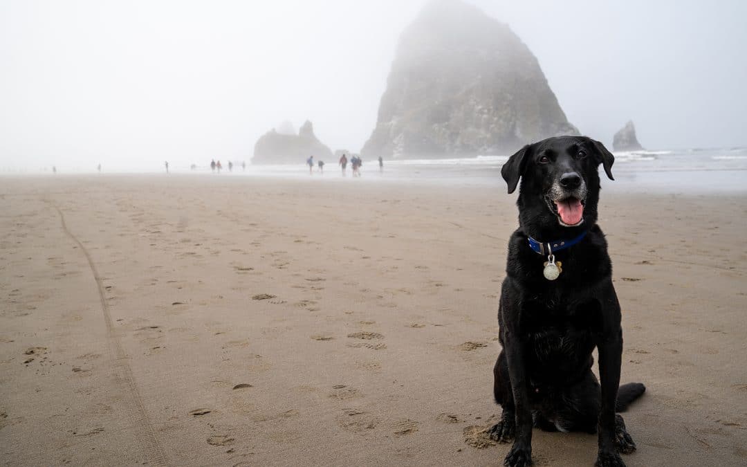 Boardwalk Resort Vacations Reviews Pacific Northwest Vacation Spots