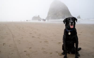 Boardwalk Resort Vacations Reviews Pacific Northwest Vacation Spots