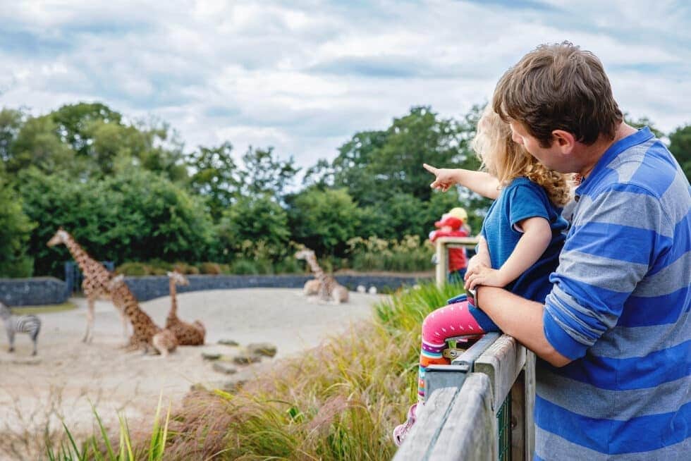 Family Coastal Boardwalk with travel context for Boardwalk Resorts Vacations Reviews.
